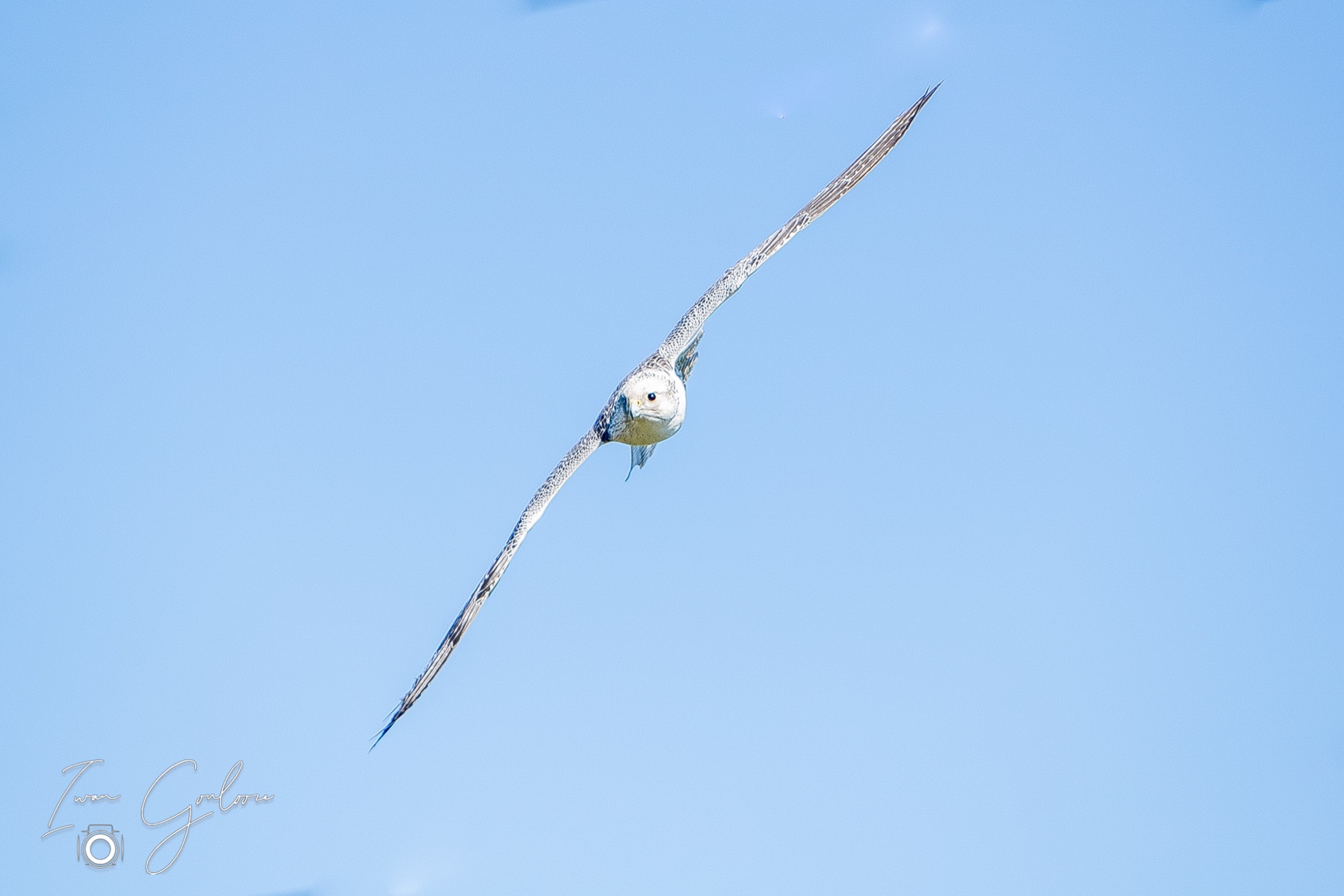 27 maart 2022 150335 1DX45796